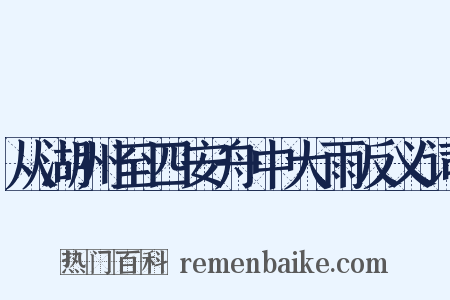 从湖州至四安舟中大雨反义词是什么意思的图片